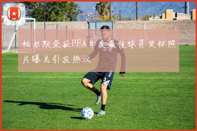 帕尔默荣获PFA年度最佳球员奖杯照片曝光引发热议