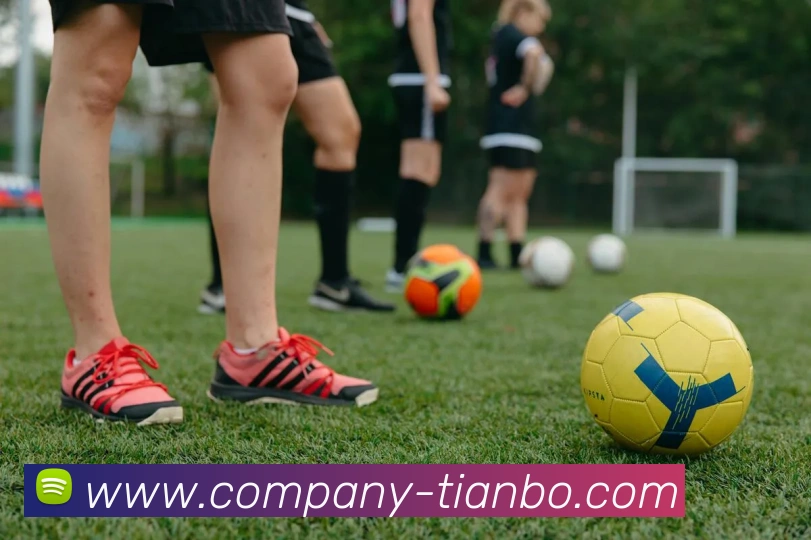 天博体育平台生态图